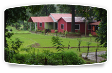 Dandeli Nature Nest